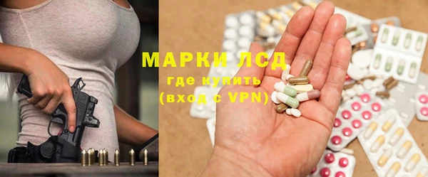 ПСИЛОЦИБИНОВЫЕ ГРИБЫ Рославль