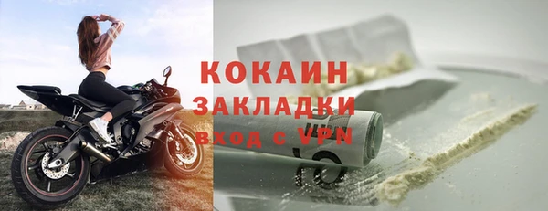 ПСИЛОЦИБИНОВЫЕ ГРИБЫ Рославль