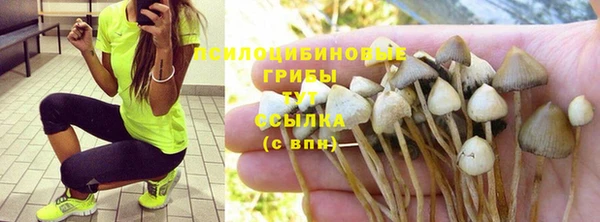 ПСИЛОЦИБИНОВЫЕ ГРИБЫ Рославль